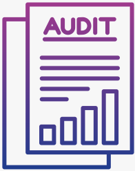 Custom Audit Repor